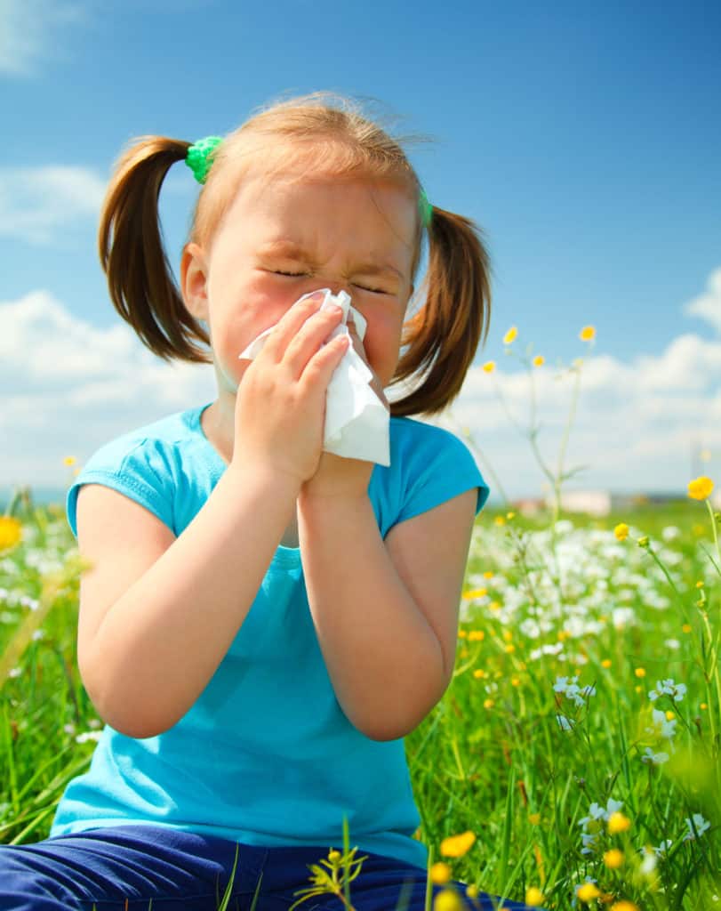 Zink Allergien Heuschnupfen Pollen Hilfe Allergie natürlich